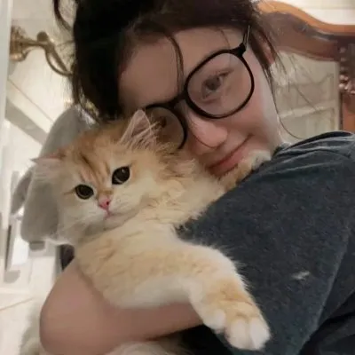 【职场轻喜剧】《秘密内幕～女警的逆袭～》户田惠梨香永野芽郁：派出所女警的真实爆笑摸鱼日常